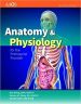 Anatomy & Physiology